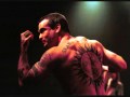 Rollins Band - What Have I Got (live).wmv