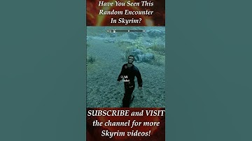 Have You Seen This Random Encounter in Skyrim?
