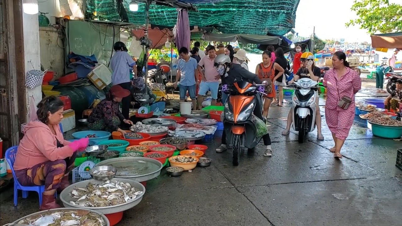 Chợ Bến Đình Vũng Tàu Hải Sản Tươi Rẻ | út đạt | # 569