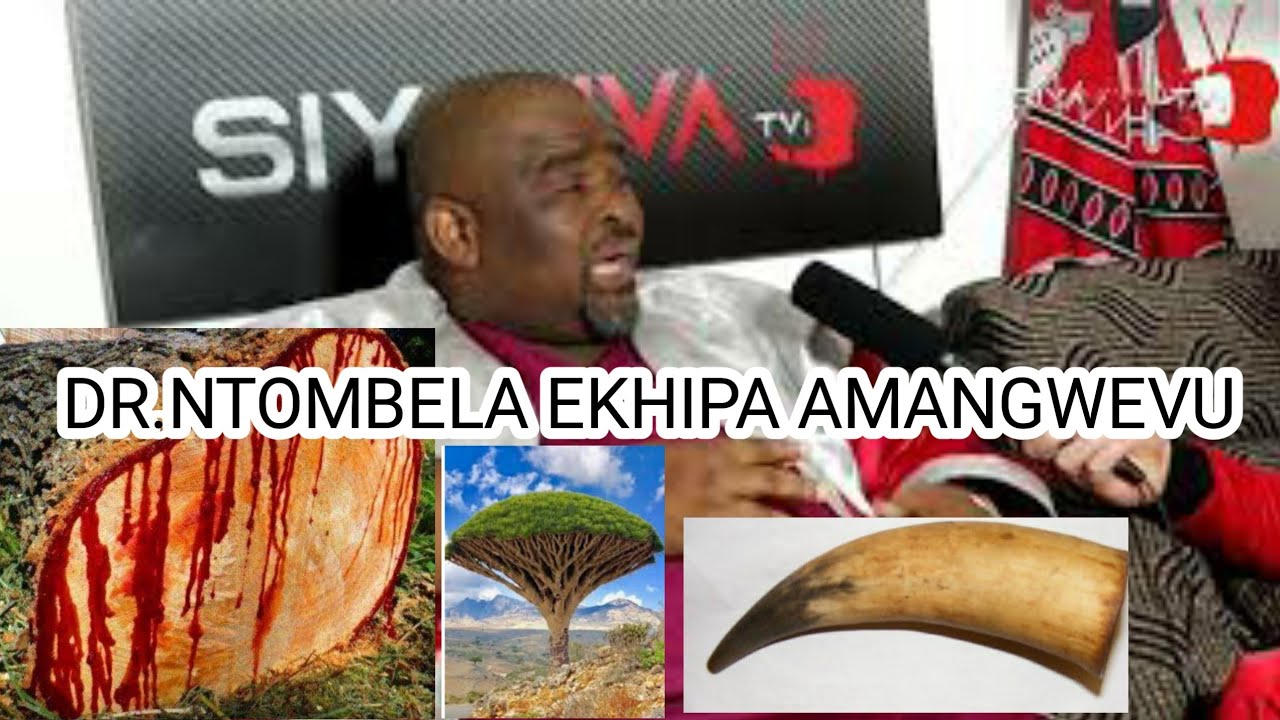 DR NTOMBELA #UMDLEBE , #UPHONDO nokunye okuningi abafunde avanti bengaqanjelwa amanga