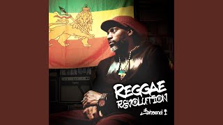 Video thumbnail of "Release - Reggae Revolution"