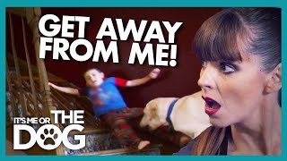 Kid Dragged Around the House by Family Dog | It's Me or the Dog