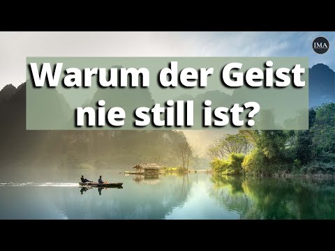 Video: 8 Möglichkeiten, den Geist Ihres Hundes gesund zu halten