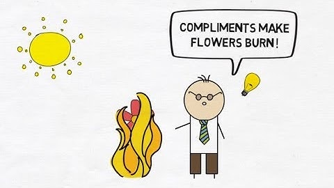 Logical fallacy: Post hoc ergo propter hoc