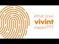 Our identity  what does vivint mean