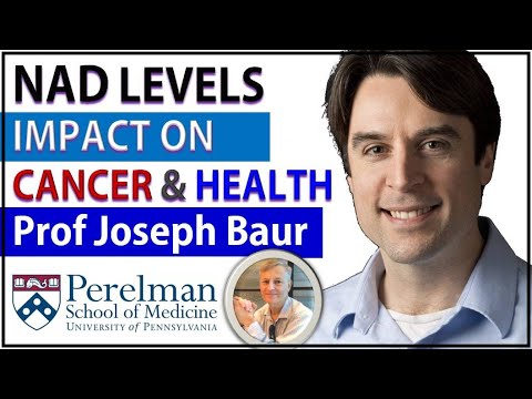 NAD Levels - Impact On Cancer & Health | Professor Joseph Baur Interview Series Episode2