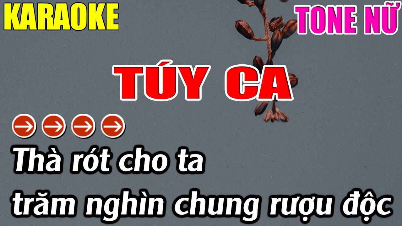 Túy Ca Karaoke Tone Nữ Karaoke Lâm Nhạc Sống 2025 - Beat Mới