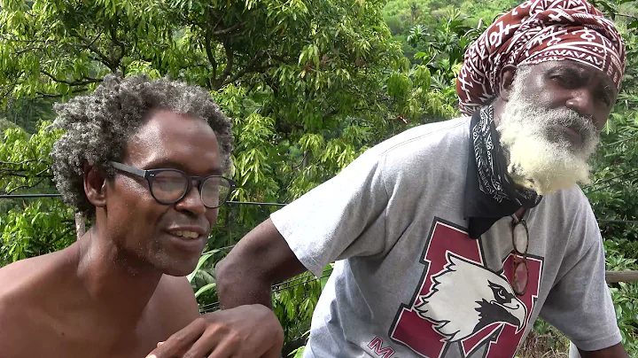 Preserve and Build Rasta Culture