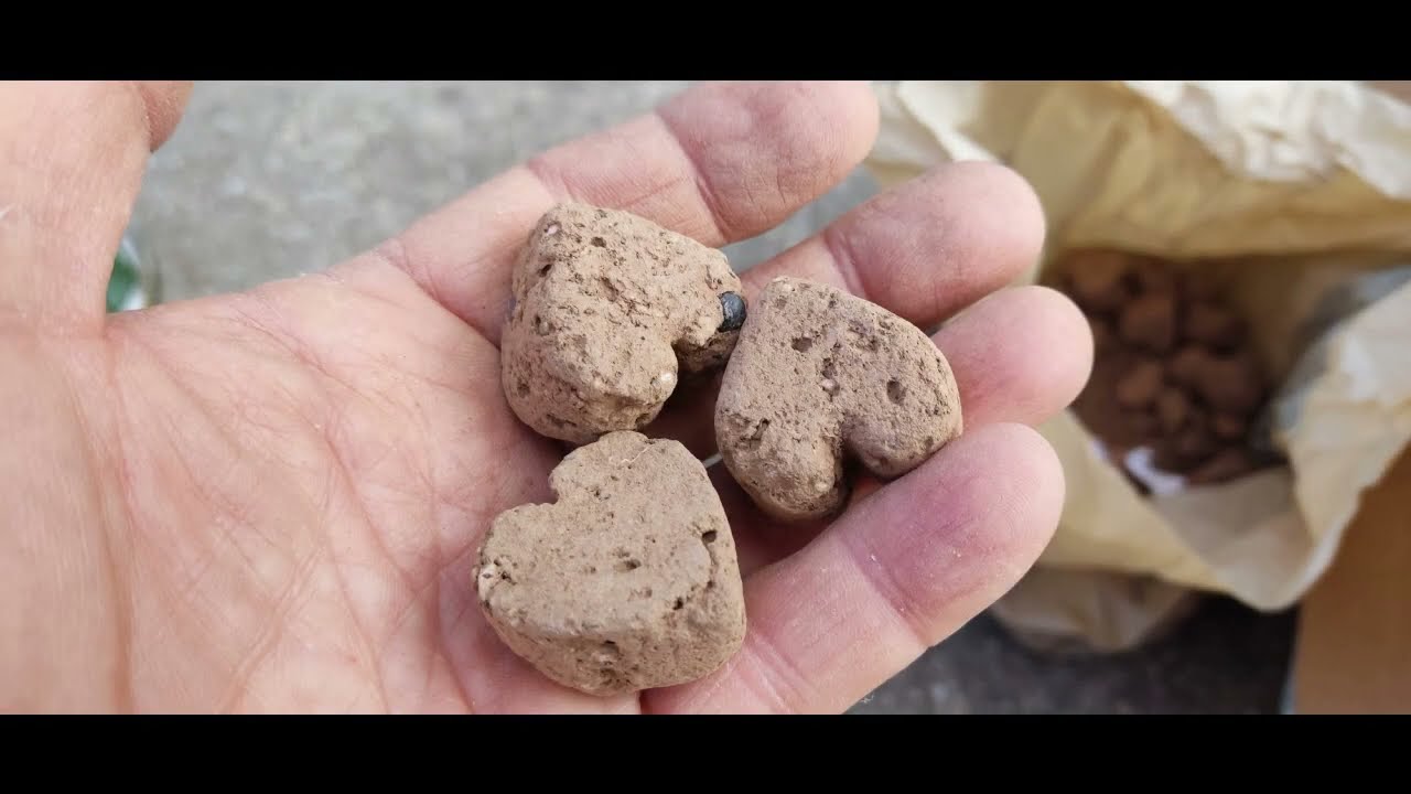 2022 Forest Fire Thessaloniki - Overview of Reforestation Process Feb 2023