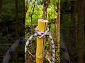 This Rope Knot Around Bamboo Will Blow Your Mind (So Easy Yet Genius) #LifeHack #RopeTrick #KnotHack