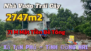 NHÀ VƯỜN TRÁI CÂY 2.767m² – CÓ ĐIỆN NƯỚC, MẶT TIỀN BÊ TÔNG – PHÚ LỘC, TÂN PHÚ