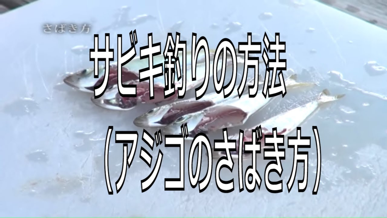 サビキ釣りの方法 アジゴのさばき方 福岡市海づり公園 Youtube