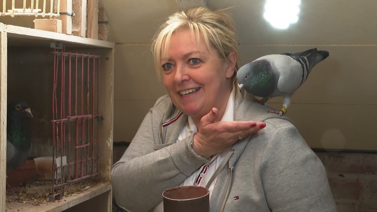 De Belgische Reisduif - De Constateur - Annick Goeteyn