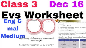 Class 3 Evs Worksheet Dec 16/3 rd std evs worksheet 16/12/20/kite victers std 3 evs worksheet 16/12/