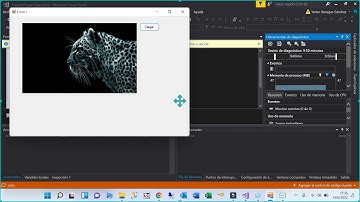 Cargar IMAGEN en Form Visual Basic .NET | OpenFileDialog