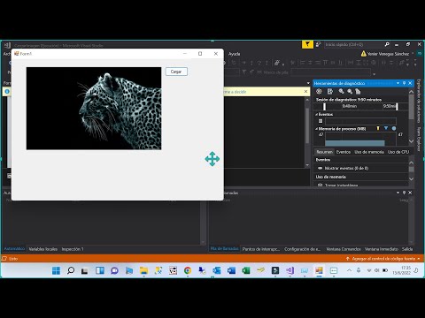 Cargar IMAGEN en Form Visual Basic .NET | OpenFileDialog