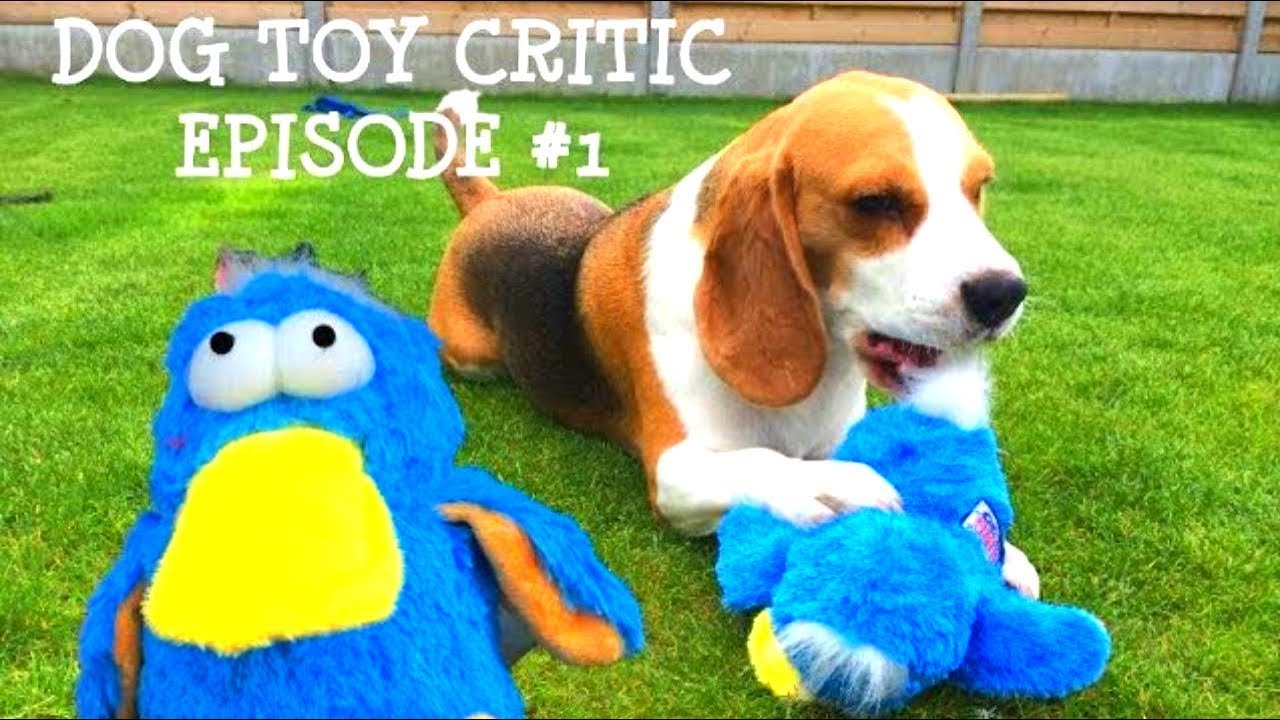 Dog Toy Critic