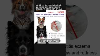 애완 동물 스킨 케어 스프레이 벼룩 벼룩 벼룩 살충 스프레이, 강아지 고양이, 새끼 고양이 트리트먼트, 가려움증 진정, 진드기 제거, 60ml
