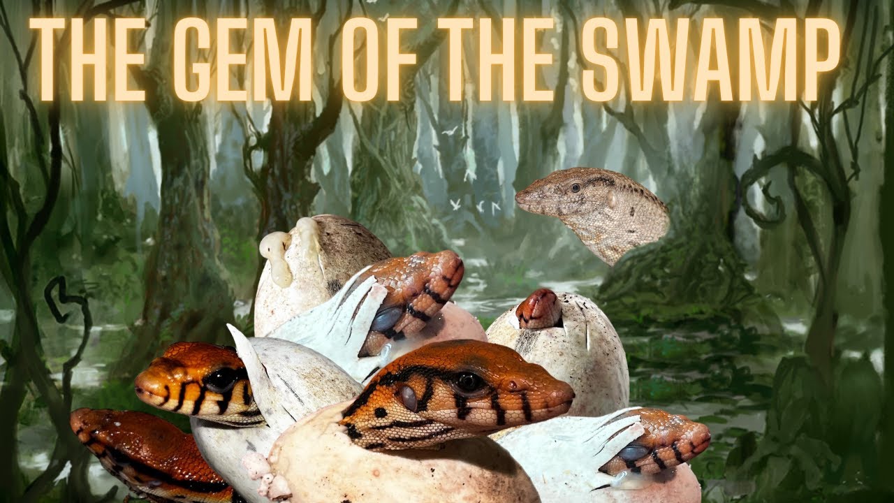 THE BEST LOOKING BABY MONITOR! TCRP-30 Aiden Bradley