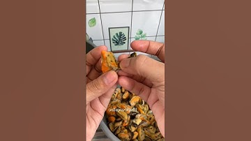 Thumbnail of Tips membersihkan kerang ala mami apiyi #tips #tipsandtricks #kerang