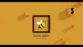 Arıcılık Eğitimi 3