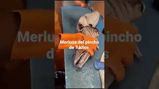 merluza de pincho de 7 kilos       #galicia #pescaria