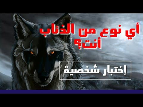 فيديو: هل تشرع في اختبار الذئب؟