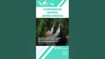 Kandungan Nutrisi dalam Jambu Biji Kristal Bagus untuk Kesehatan: Cegah Virus dan Infeksi