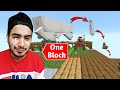 One Block Minecraft is BAD for My Animals