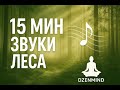 🔊 Звуки леса 15 минут — успокой ум за первые 30 секунд