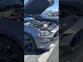 CRAZY TURBO MUSTANG REVS😳