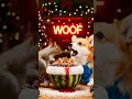 Tasty Watermelon Ice Jelly Made By Chef Dog😋🐾🍉 | Fruit BingFen | Dog Cooking #Shorts