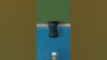 POV: you quit playing ragdoll engine