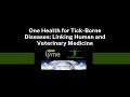 One Health for Tick-Borne Diseases: Linking Human and Veterinary Medicine