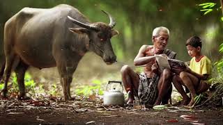 ស្រុកស្រែខ្លុយកំសត់បំពេរ ស្ដាប់ពេលគេង - Khmer flute sound - Relaxing music for sleep 30 min #flute