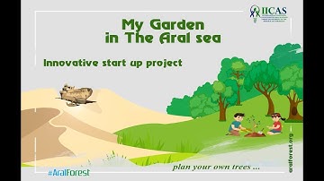 Work carried out within the framework of the "My garden in the Aral Sea" project in 2020-2025