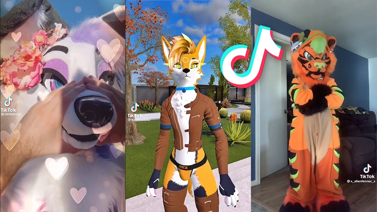 Furry Tiktok's I Found In My Mailbox