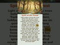 🌲 Spirit of the Forest | English Calm Story Listening | #a2english #b1english