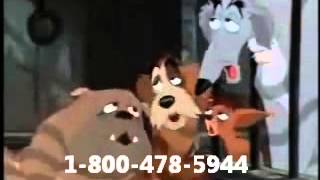 Lady and the Tramp - Arms of an Angel