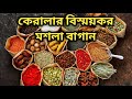 কেরালার বিস্ময়কর মশলা বাগান | Kerala Spice Garden | Kerala Tour | Kerala Ayurveda |