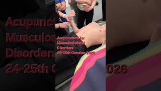 Acupuncture for Musculoskeletal Disorders An Integrated Meridian-Based Approach 24-25th October 2026