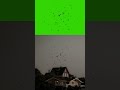 Green Screen VFX bat