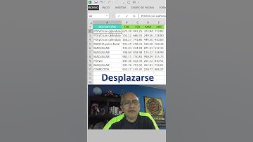 Desplazarte por tus datos utilizando la celda en excel