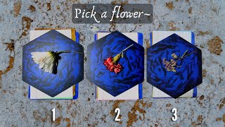 💜 Your past life with your person ↩️ Pick a Card Tarot Reading