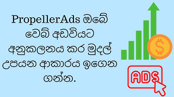 Learn how to integrate Propeller Ads / Monetag to your website (Sinhala Tutorial)