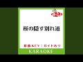 桜の隠す別れ道 (カラオケ) (原曲歌手:平川地一丁目)