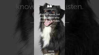 30 Days of Inspiring Dog Quotes - Unleash the Love 🐾❤️ - Day 23
