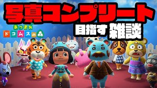【あつ森生放送】住民の写真立てコンプリート目指す雑談【雑談】
