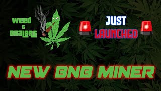NEW BNB MINER dealers.finance Hire Dealers. Earn BNB. Repeat. 8% DAILY WEED & DEALERS JUST LAUNCHED