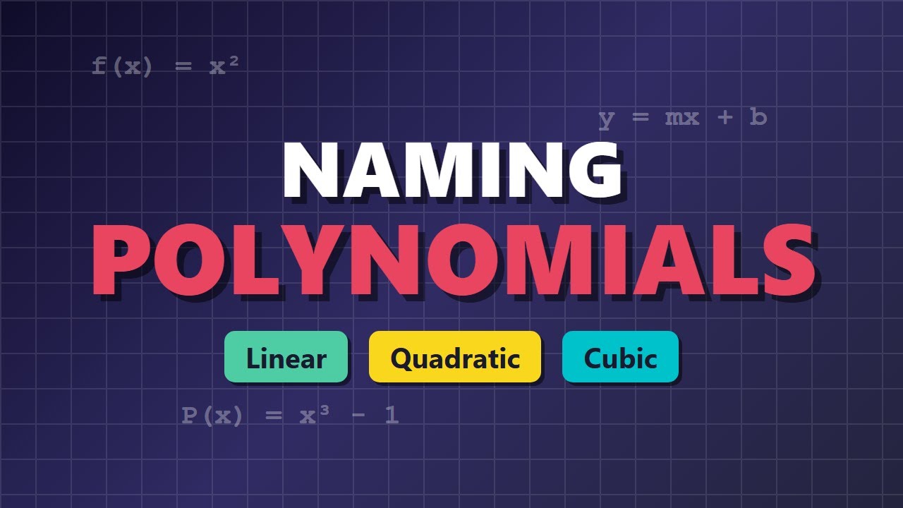 Classifying Polynomials by Degree: Linear, Quadratic, & Cubic 📐